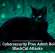 U.S. Cybersecurity Pros Admit Role in BlackCat Attacks
